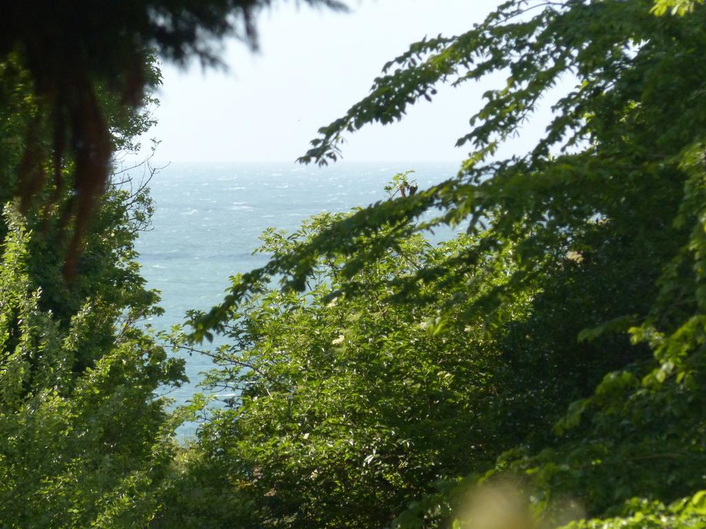 La Flore De Lys, Cottage Ideal Pour 2 Adultes Et 2 Enfants Saint-Jouin-Bruneval Quarto foto